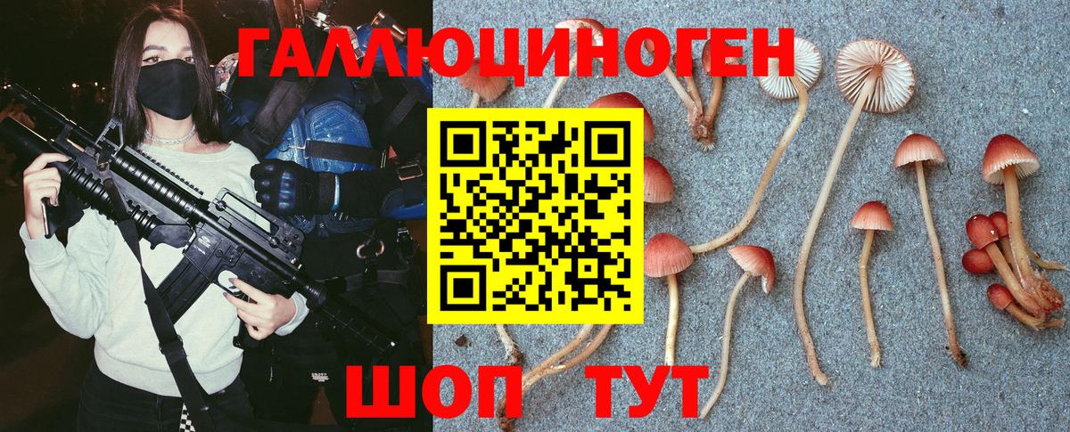 Павловский Посад  Псилоцибиновые грибы Magic Shrooms  Вход с VPN 